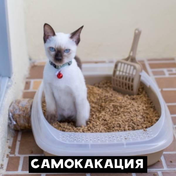 http://upforme.ru/uploads/0010/b8/af/2/t39406.jpg