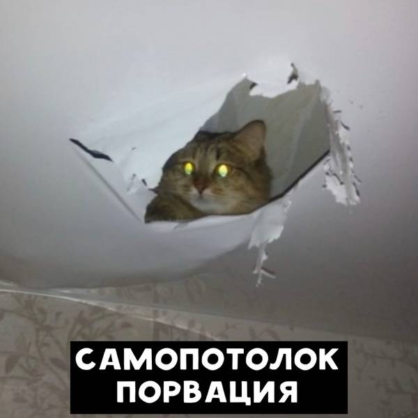 http://upforme.ru/uploads/0010/b8/af/2/t39550.jpg