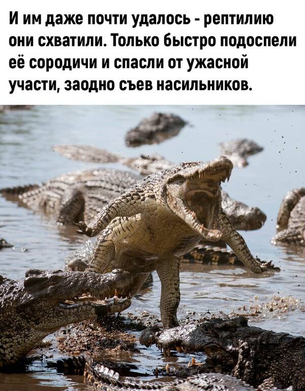 http://upforme.ru/uploads/0010/b8/af/2/t409897.jpg