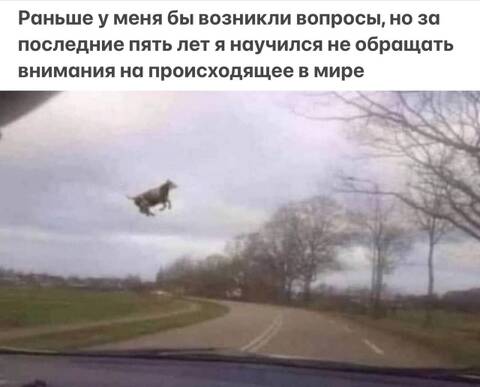 http://upforme.ru/uploads/0010/b8/af/2/t413971.jpg