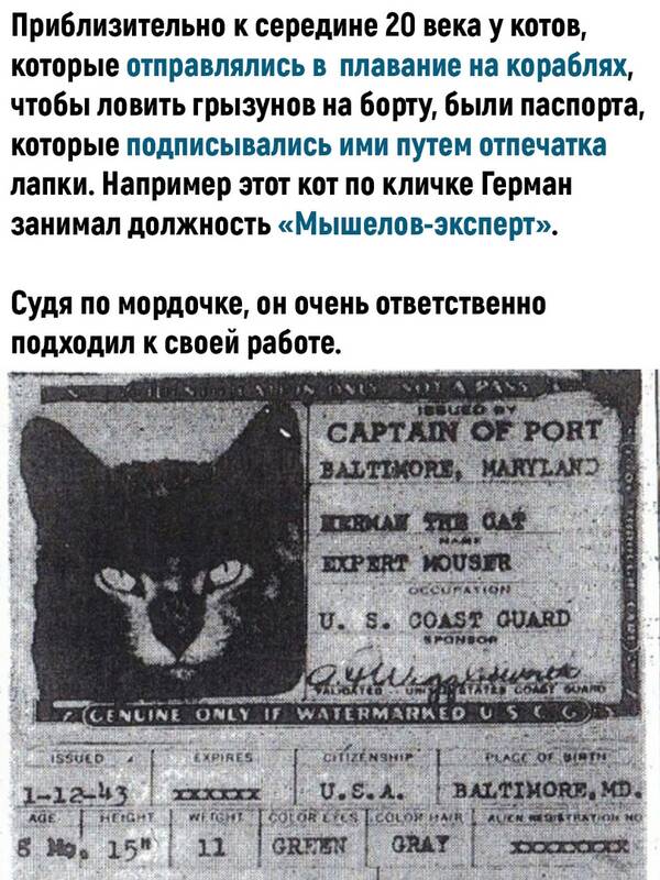http://upforme.ru/uploads/0010/b8/af/2/t429354.jpg