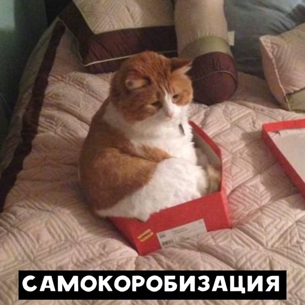 http://upforme.ru/uploads/0010/b8/af/2/t45778.jpg