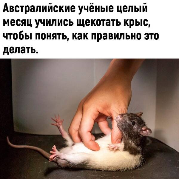 http://upforme.ru/uploads/0010/b8/af/2/t46410.jpg