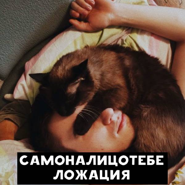 http://upforme.ru/uploads/0010/b8/af/2/t50621.jpg