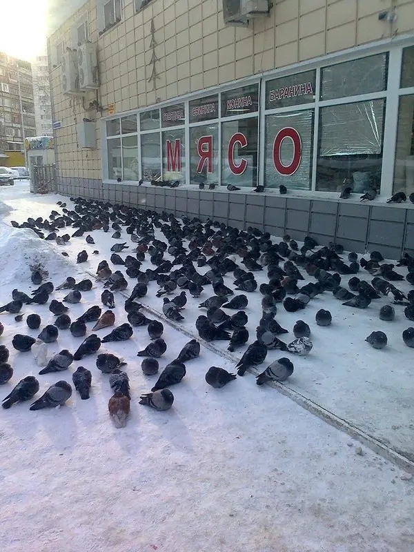 http://upforme.ru/uploads/0010/b8/af/2/t523704.jpg
