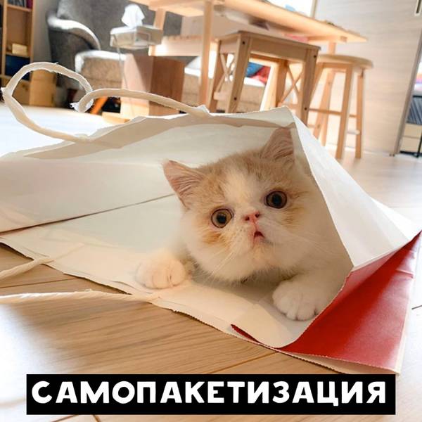 http://upforme.ru/uploads/0010/b8/af/2/t53648.jpg