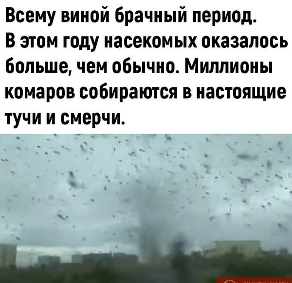 http://upforme.ru/uploads/0010/b8/af/2/t555785.jpg