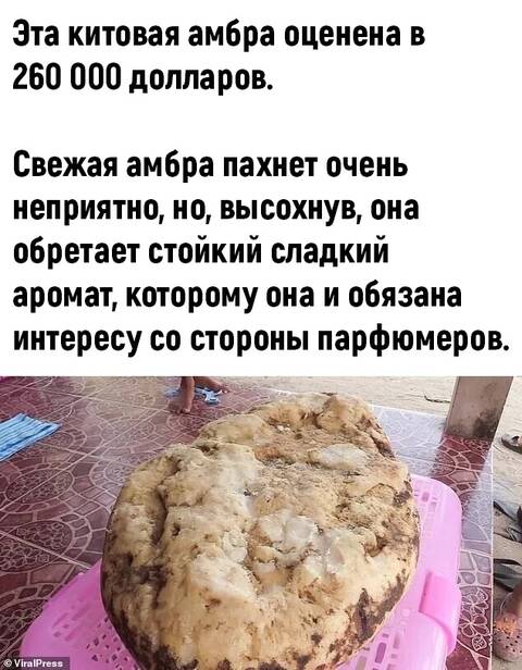 http://upforme.ru/uploads/0010/b8/af/2/t580195.jpg