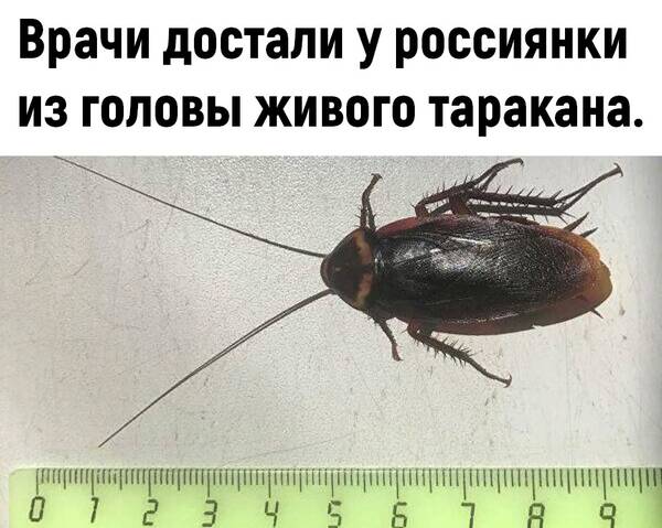 http://upforme.ru/uploads/0010/b8/af/2/t581411.jpg