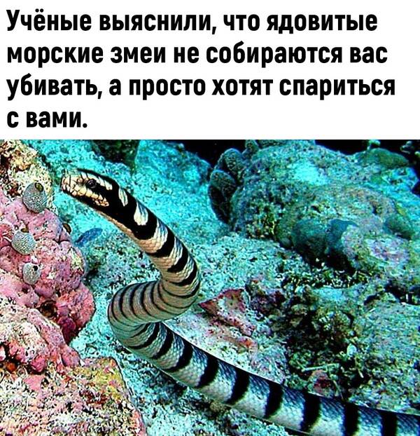 http://upforme.ru/uploads/0010/b8/af/2/t596073.jpg