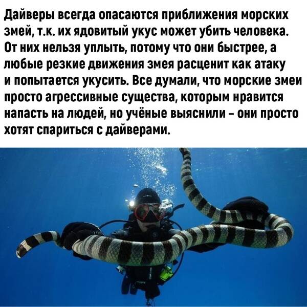 http://upforme.ru/uploads/0010/b8/af/2/t615801.jpg