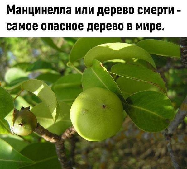 http://upforme.ru/uploads/0010/b8/af/2/t621130.jpg