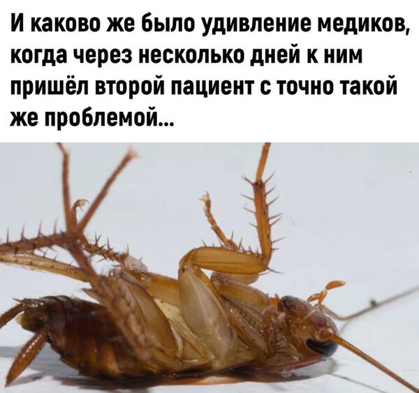 http://upforme.ru/uploads/0010/b8/af/2/t633427.jpg