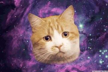 http://upforme.ru/uploads/0010/b8/af/2/t69645.gif