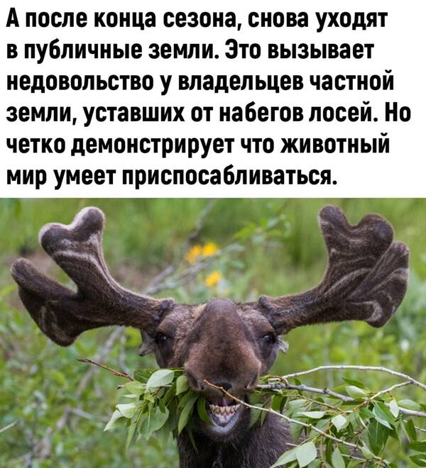 http://upforme.ru/uploads/0010/b8/af/2/t715222.jpg