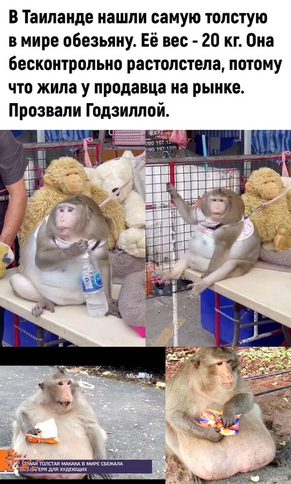 http://upforme.ru/uploads/0010/b8/af/2/t72025.jpg