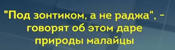 http://upforme.ru/uploads/0010/b8/af/2/t724312.jpg