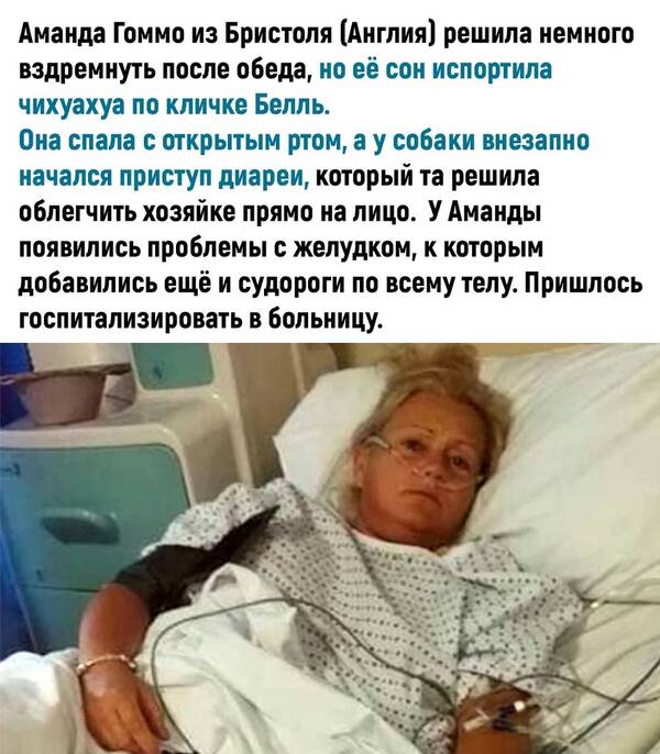 http://upforme.ru/uploads/0010/b8/af/2/t748618.jpg