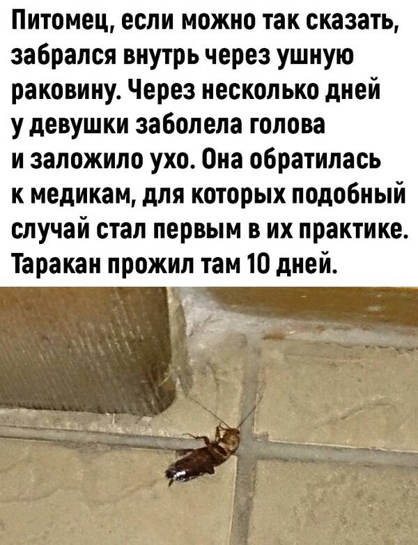http://upforme.ru/uploads/0010/b8/af/2/t755554.jpg