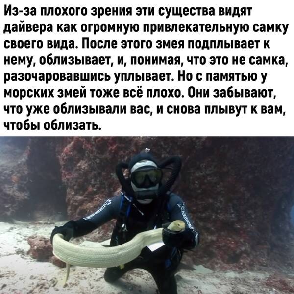http://upforme.ru/uploads/0010/b8/af/2/t765213.jpg