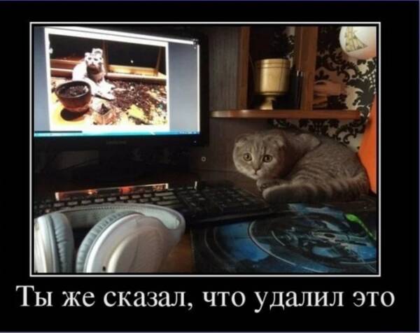 http://upforme.ru/uploads/0010/b8/af/2/t784383.jpg