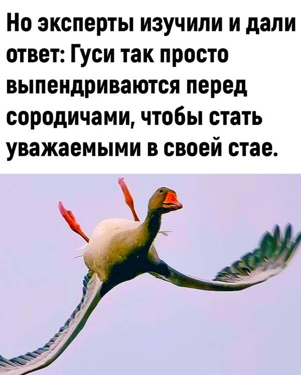 http://upforme.ru/uploads/0010/b8/af/2/t787126.jpg