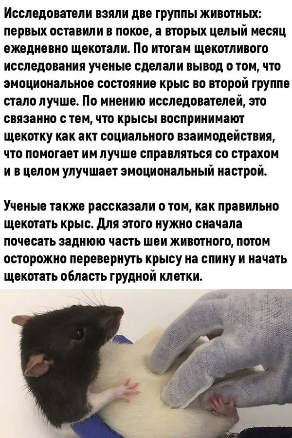 http://upforme.ru/uploads/0010/b8/af/2/t807249.jpg