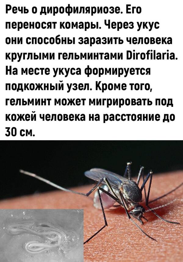http://upforme.ru/uploads/0010/b8/af/2/t827845.jpg