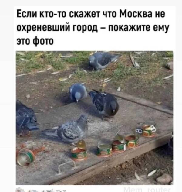 http://upforme.ru/uploads/0010/b8/af/2/t840167.jpg