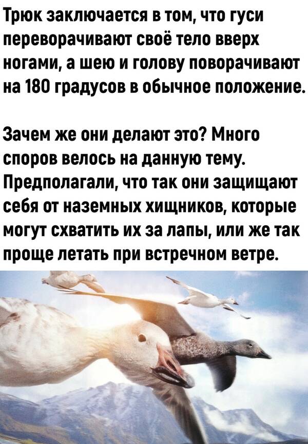 http://upforme.ru/uploads/0010/b8/af/2/t843875.jpg