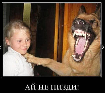 http://upforme.ru/uploads/0010/b8/af/2/t89847.jpg