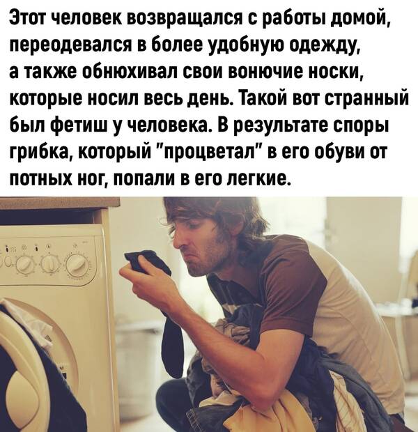 http://upforme.ru/uploads/0010/b8/af/2/t923082.jpg