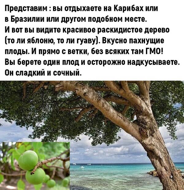 http://upforme.ru/uploads/0010/b8/af/2/t942114.jpg