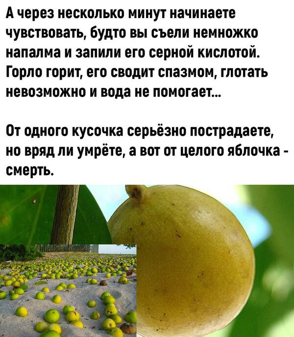 http://upforme.ru/uploads/0010/b8/af/2/t961186.jpg