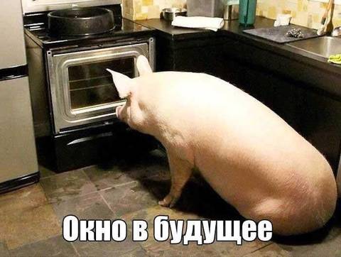 http://upforme.ru/uploads/0010/b8/af/2/t988011.jpg