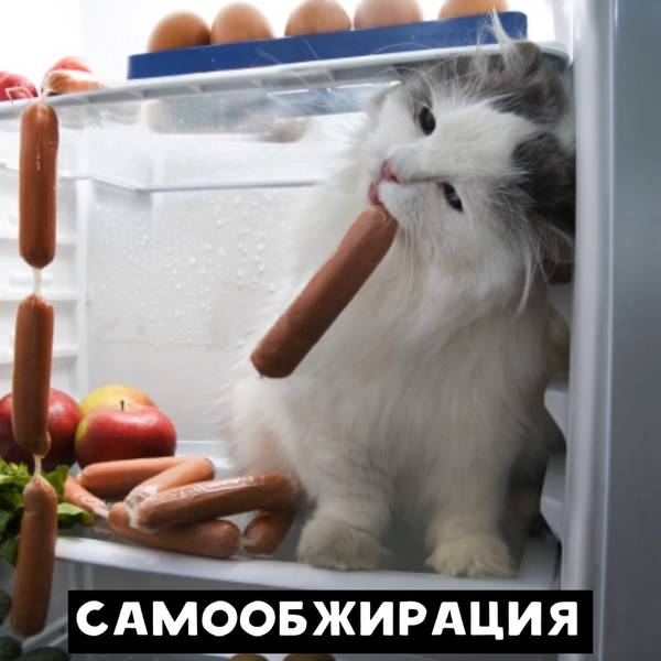http://upforme.ru/uploads/0010/b8/af/2/t98863.jpg