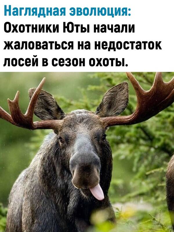 http://upforme.ru/uploads/0010/b8/af/2/t993262.jpg