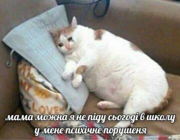 http://upforme.ru/uploads/0010/b8/af/39/t778934.jpg