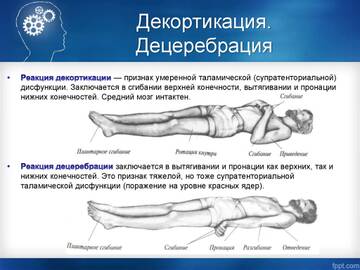 http://upforme.ru/uploads/0010/b8/af/39/t938804.jpg
