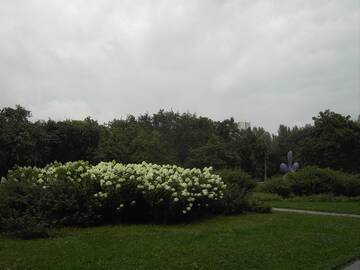 http://upforme.ru/uploads/0010/c7/aa/2/t500756.jpg