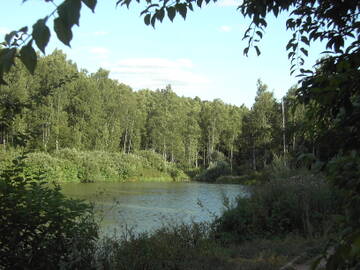 http://upforme.ru/uploads/0010/c7/aa/2/t513313.jpg