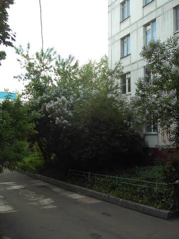 http://upforme.ru/uploads/0010/c7/aa/2/t721832.jpg