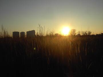 http://upforme.ru/uploads/0010/c7/aa/2/t909888.jpg