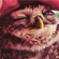 http://upforme.ru/uploads/0010/e9/37/169/36932.gif