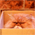 http://upforme.ru/uploads/0010/e9/37/169/55455.gif