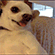 http://upforme.ru/uploads/0010/e9/37/169/60276.gif