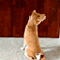 http://upforme.ru/uploads/0010/e9/37/169/63238.gif