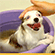 http://upforme.ru/uploads/0010/e9/37/169/76682.gif