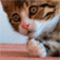 http://upforme.ru/uploads/0010/e9/37/169/79029.gif