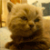 http://upforme.ru/uploads/0010/e9/37/169/80057.gif